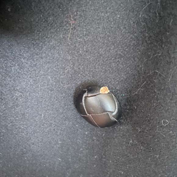 Aritzia Babaton Peacoat - Picture 3 of 3